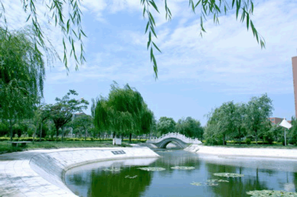 香港免费全年资料六大全