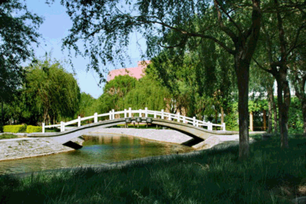 香港免费全年资料六大全