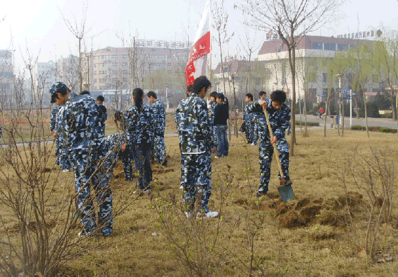香港免费全年资料六大全