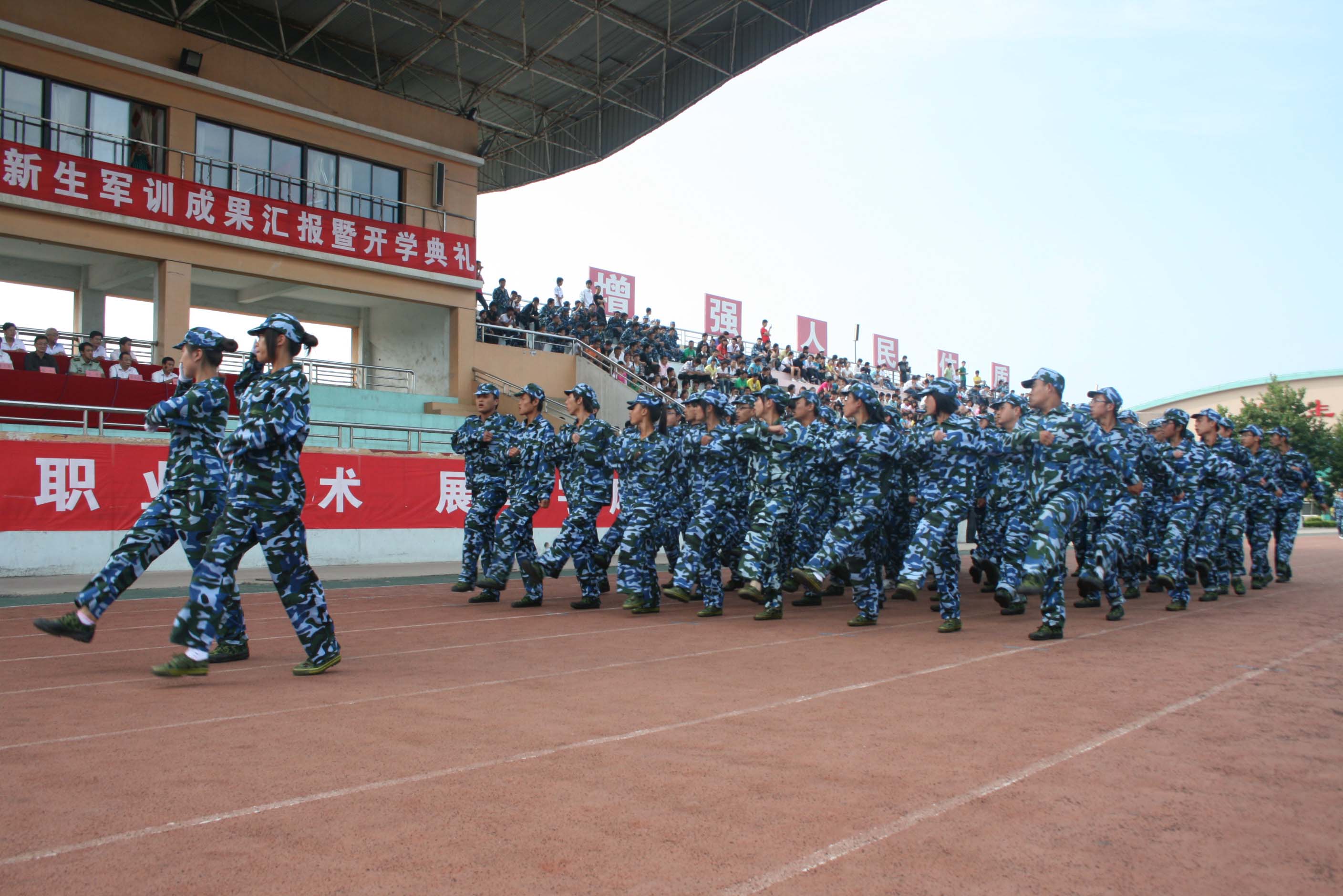 香港免费全年资料六大全