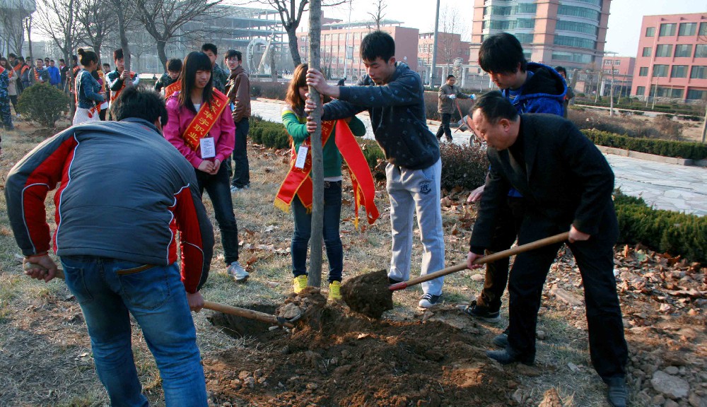 香港免费全年资料六大全