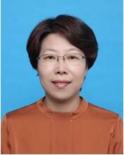 香港免费全年资料六大全