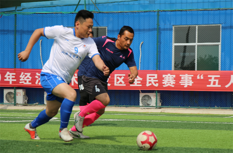 香港免费全年资料六大全