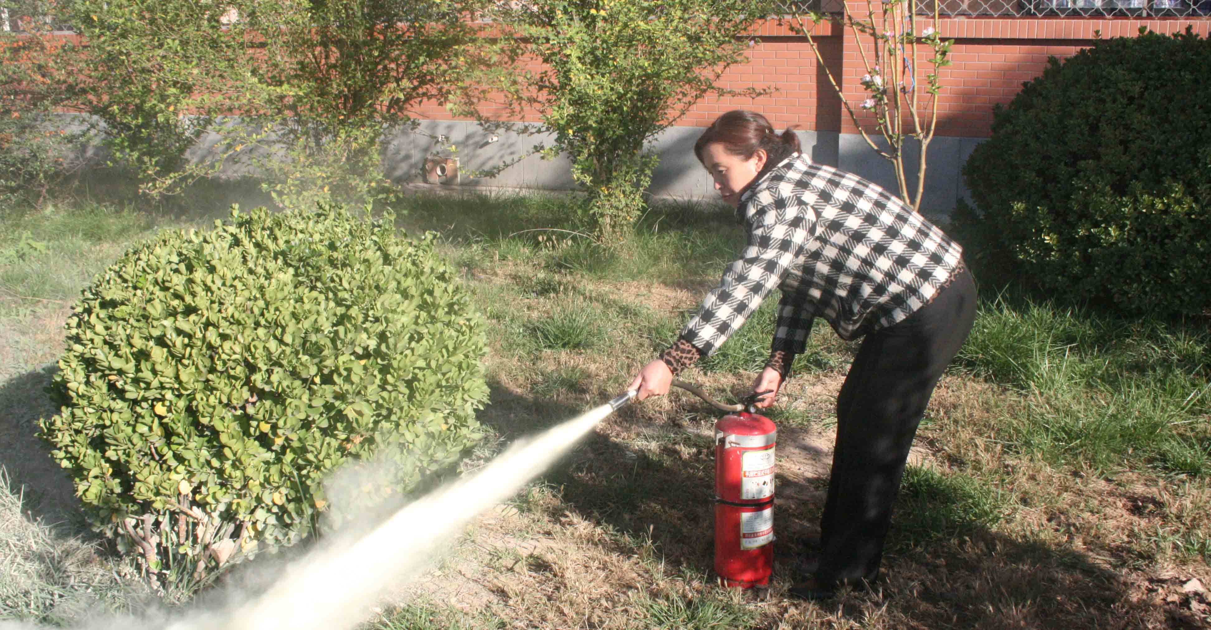 香港免费全年资料六大全