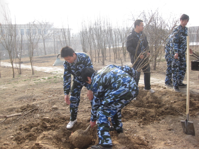 香港免费全年资料六大全