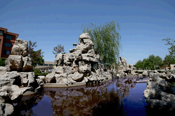 香港免费全年资料六大全