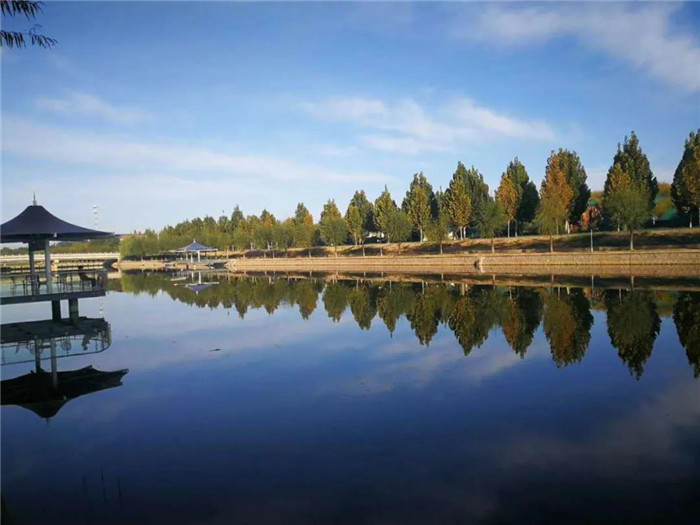 香港免费全年资料六大全