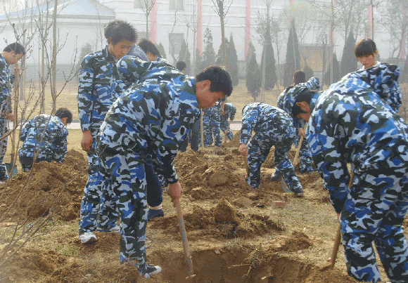 香港免费全年资料六大全