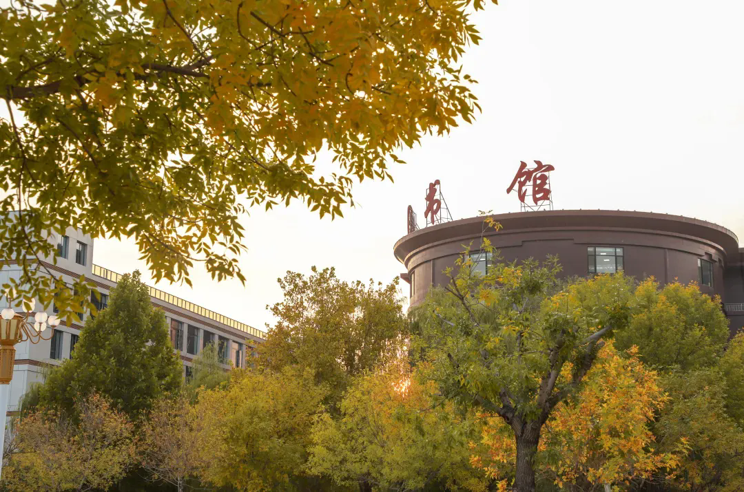 香港免费全年资料六大全