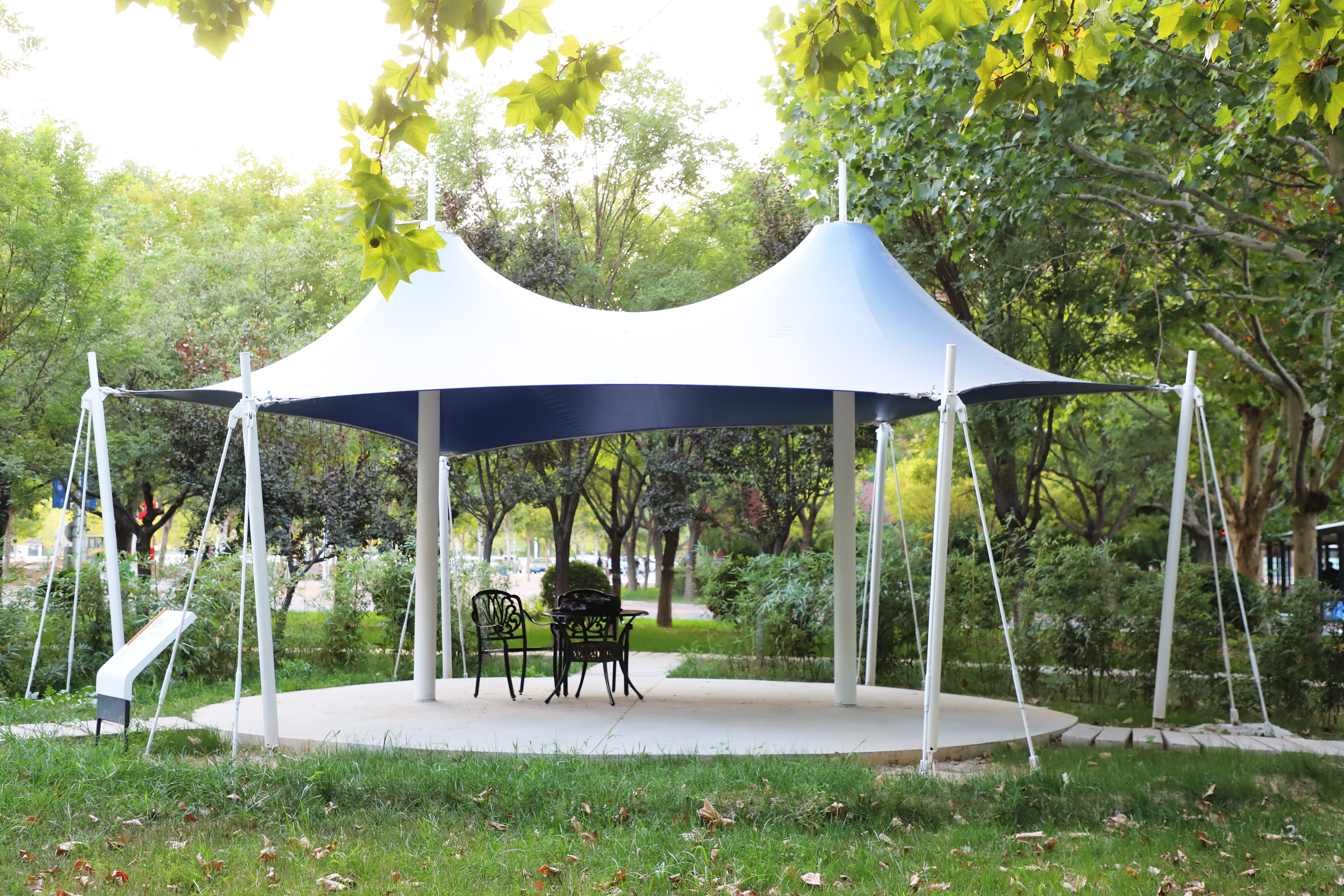 香港免费全年资料六大全