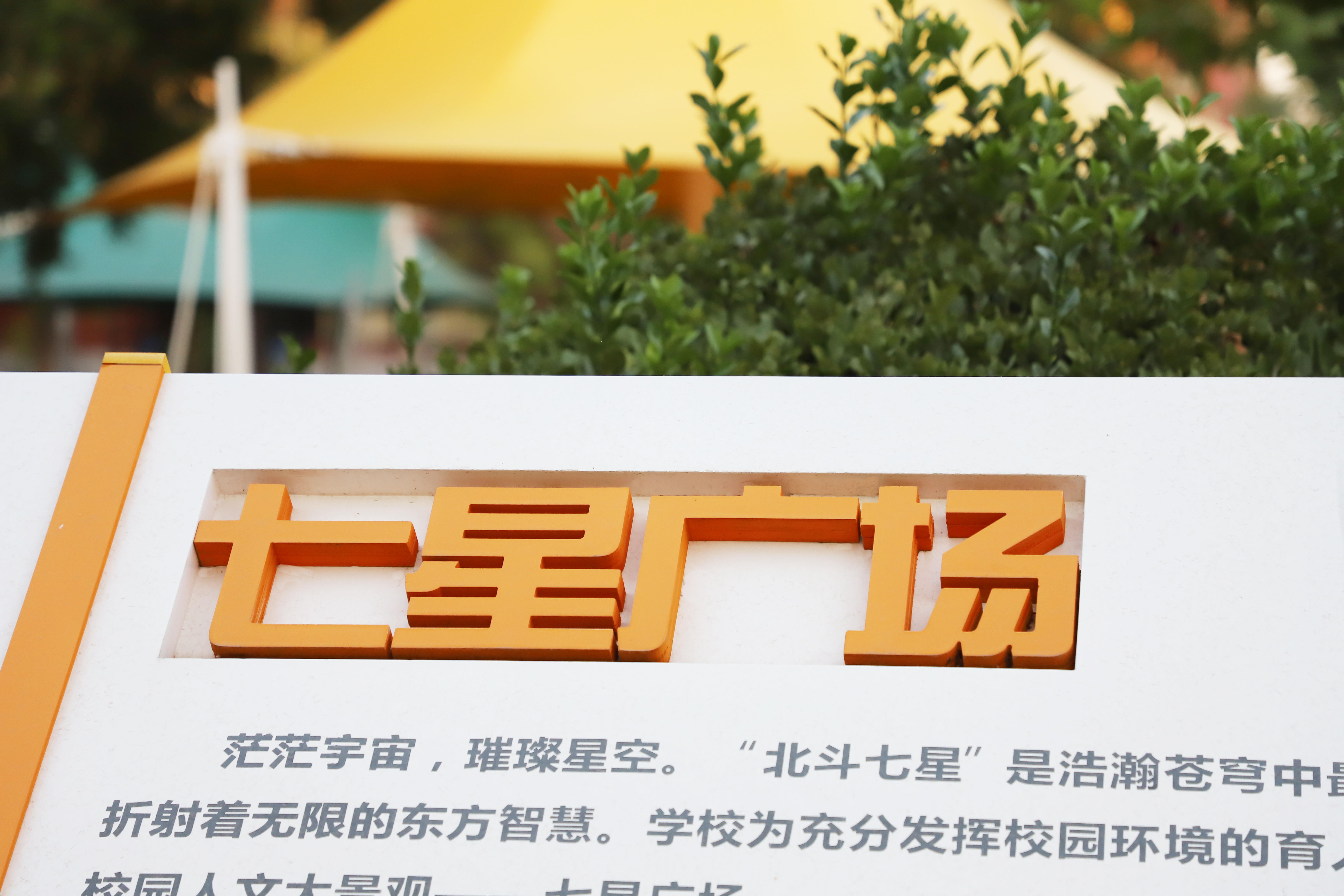 香港免费全年资料六大全