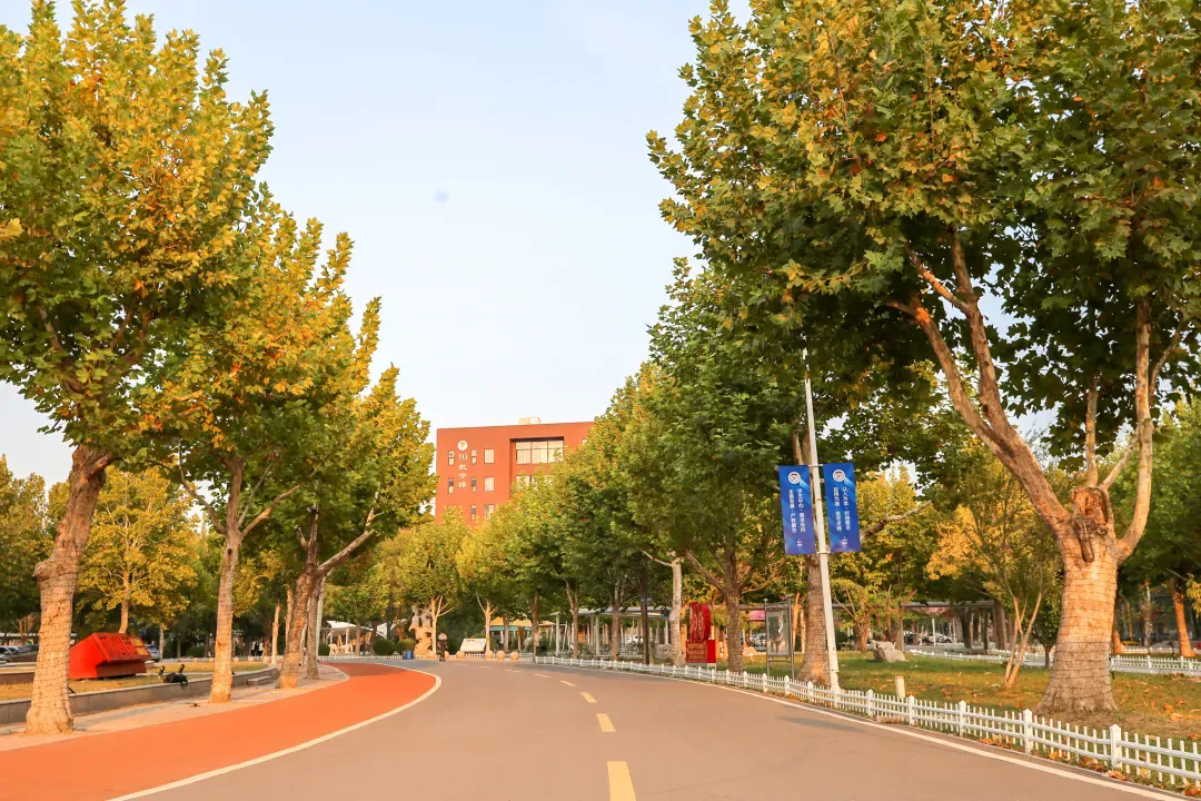 香港免费全年资料六大全