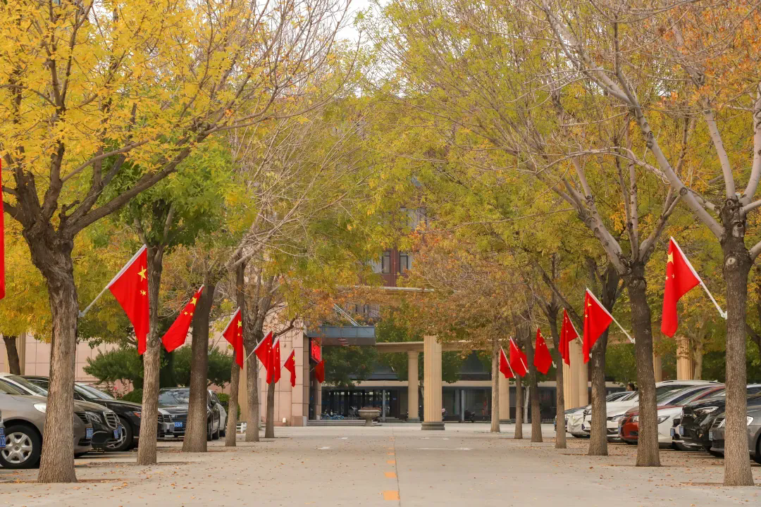 香港免费全年资料六大全