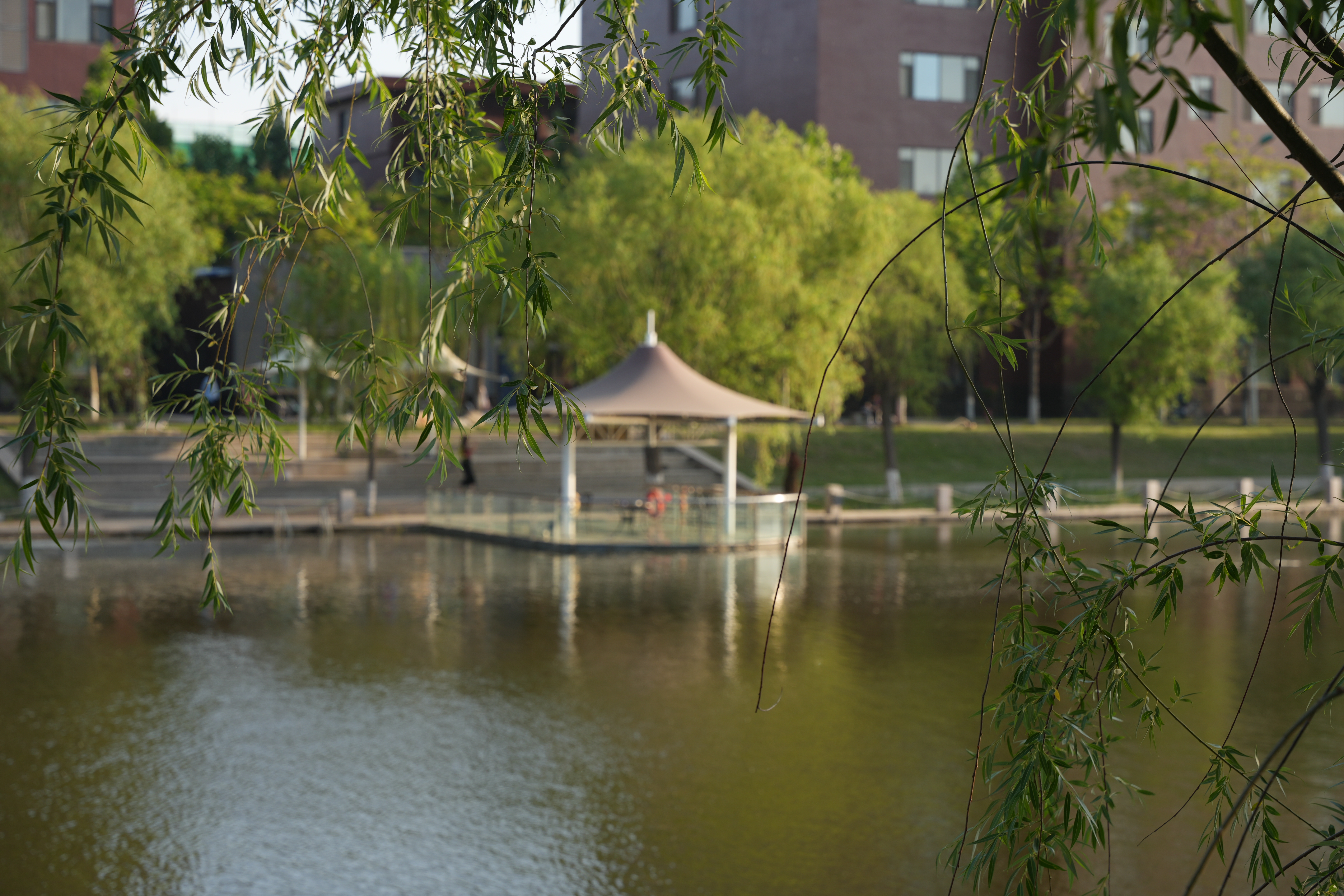 香港免费全年资料六大全