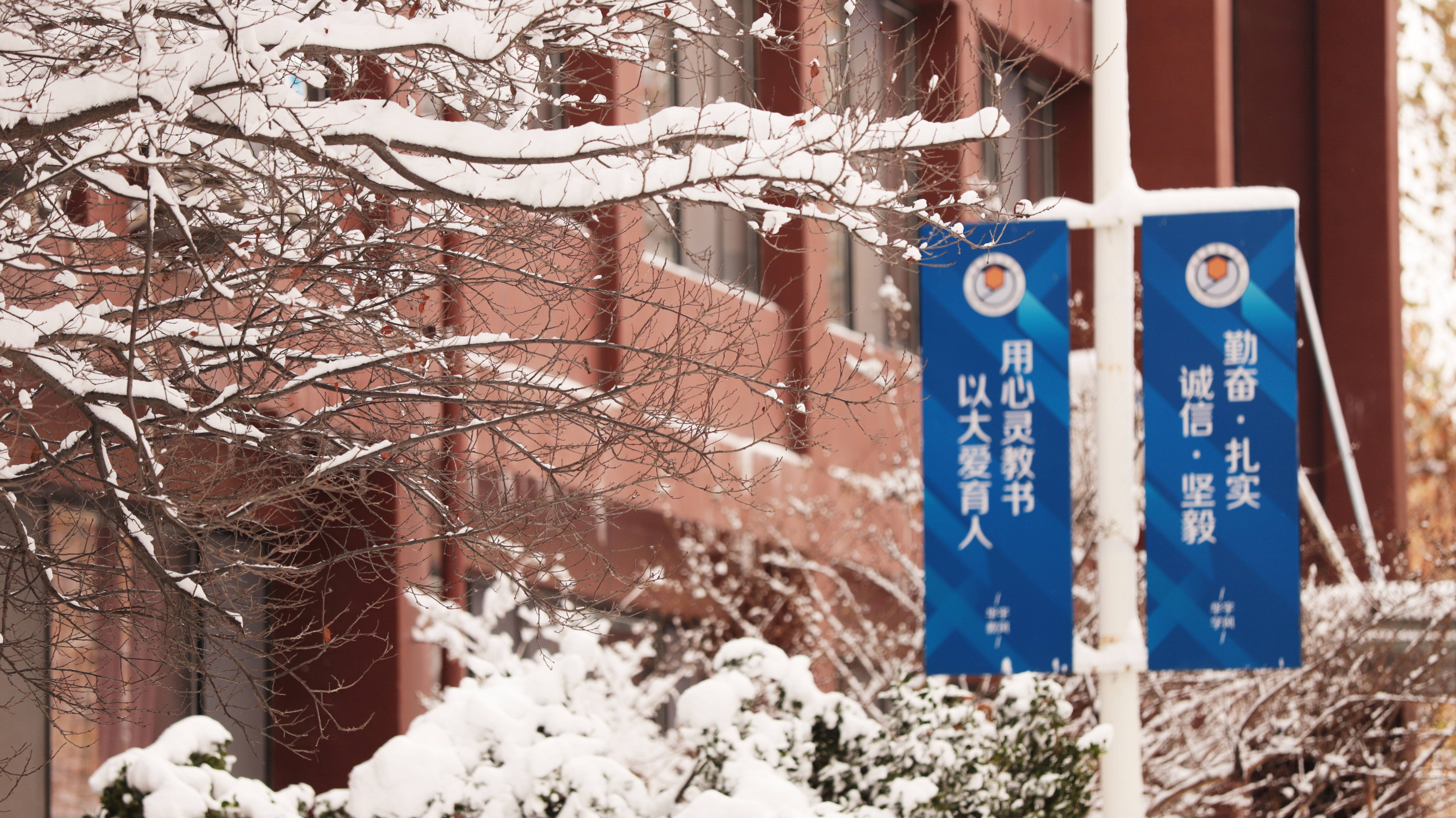 香港免费全年资料六大全